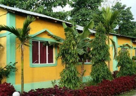 The Mystic Forest - A Tea Garden Resort At Dooars Madari Hat Exterior photo