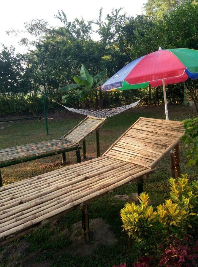 The Mystic Forest - A Tea Garden Resort At Dooars Madari Hat Exterior photo
