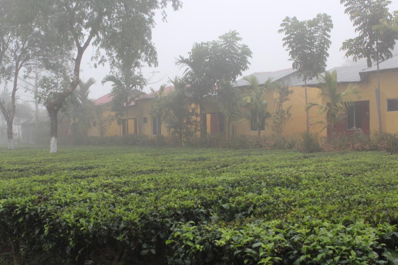 The Mystic Forest - A Tea Garden Resort At Dooars Madari Hat Exterior photo