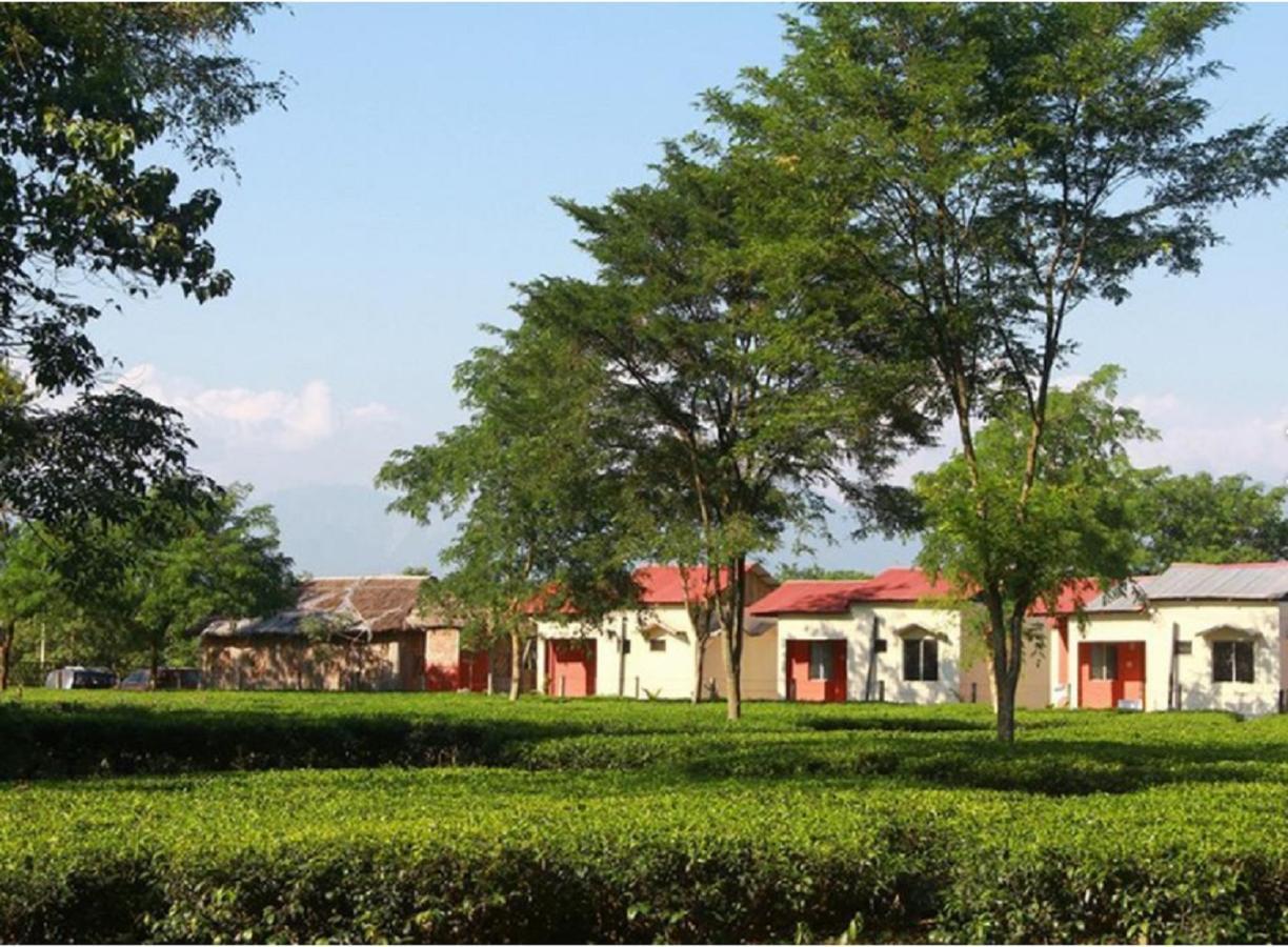 The Mystic Forest - A Tea Garden Resort At Dooars Madari Hat Exterior photo