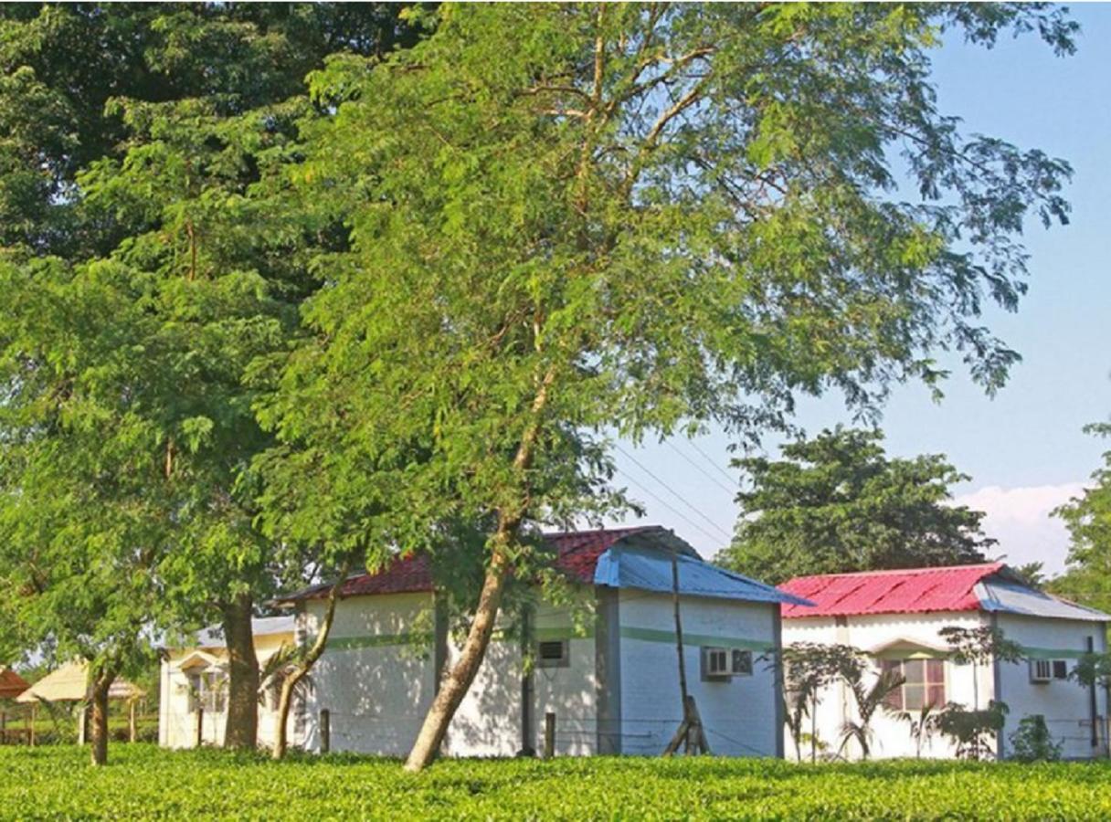 The Mystic Forest - A Tea Garden Resort At Dooars Madari Hat Exterior photo