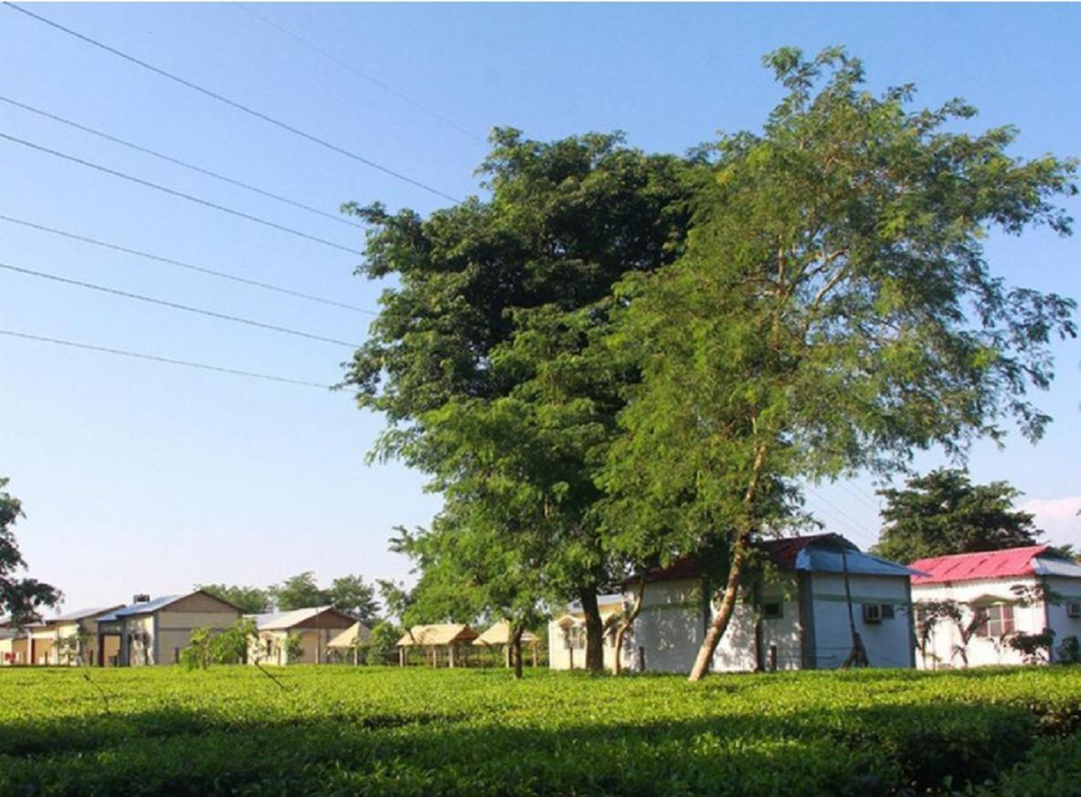 The Mystic Forest - A Tea Garden Resort At Dooars Madari Hat Exterior photo