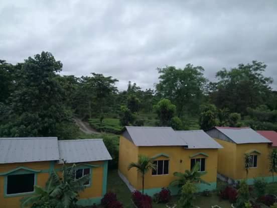 The Mystic Forest - A Tea Garden Resort At Dooars Madari Hat Exterior photo