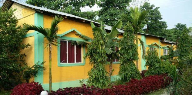 The Mystic Forest - A Tea Garden Resort At Dooars Madari Hat Exterior photo